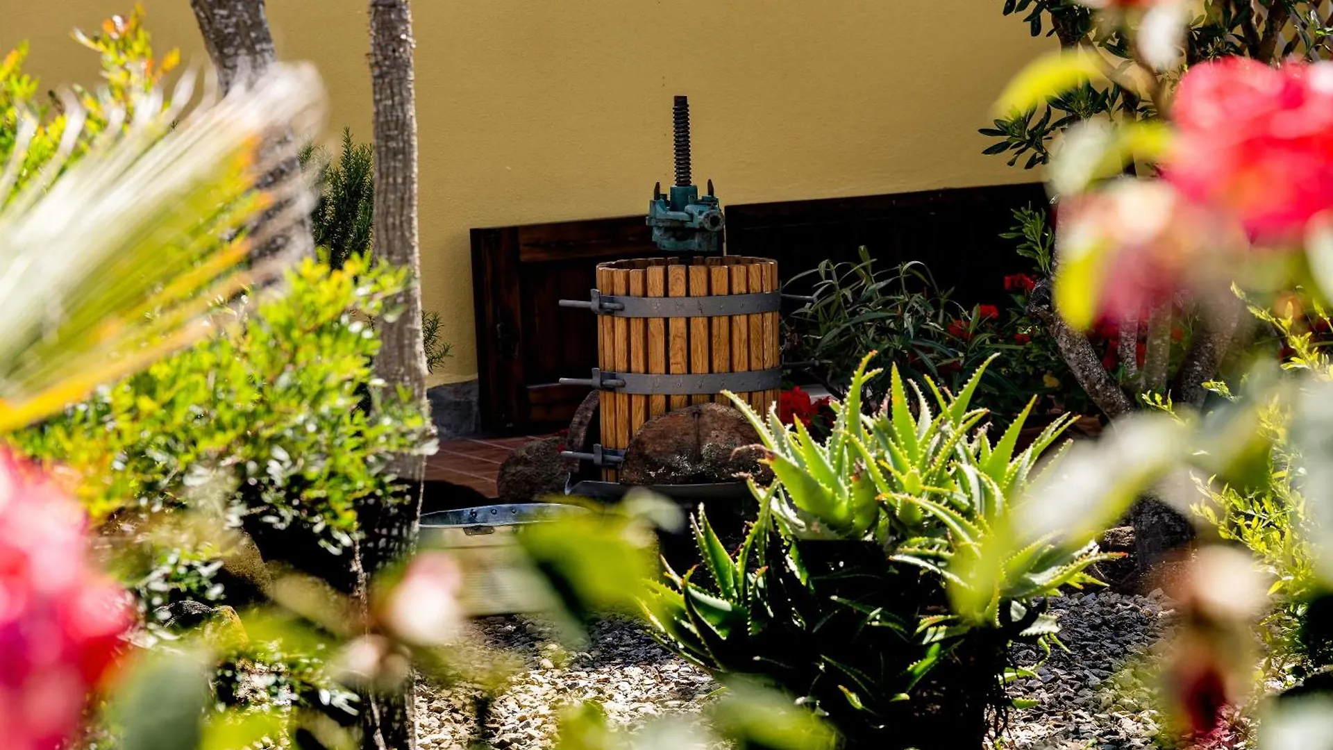 אלגהרו Villa Saige , Piscina Con Idromassaggio