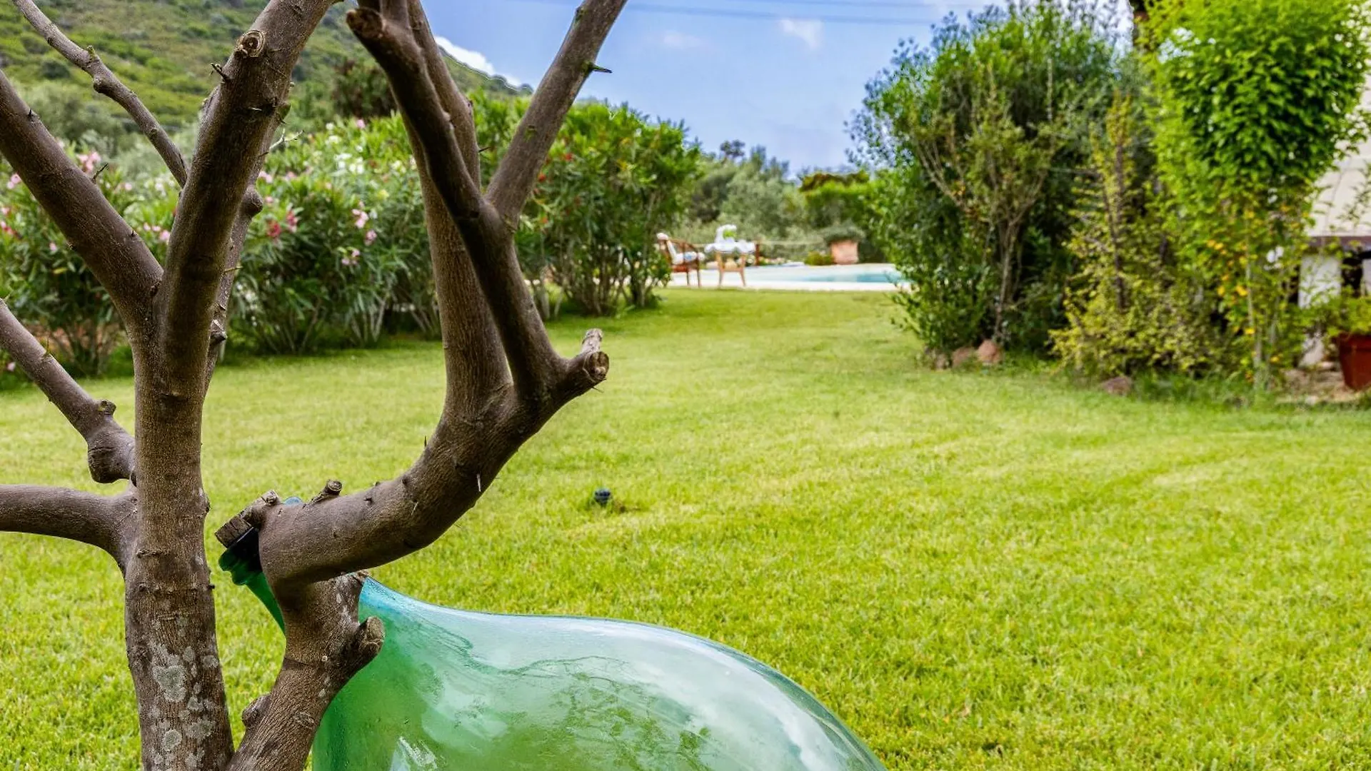 אלגהרו Villa Saige , Piscina Con Idromassaggio